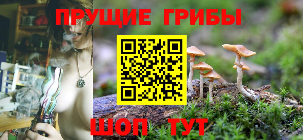 где можно купить   Вход с VPN  Артём  Псилоцибиновые грибы GOLDEN TEACHER 